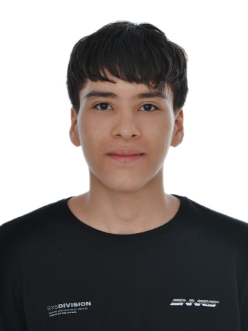 Estudiante de Ingeniería de Sistemas
